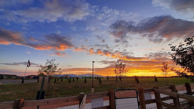 Vista Dog Park - Colorado Springs, CO