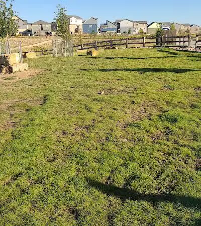 Vista Dog Park - Colorado Springs, CO