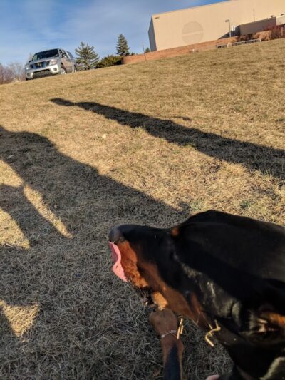 Woodland Hills Park - Colorado Springs, CO