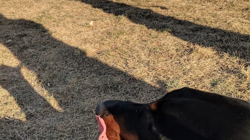 Woodland Hills Park - Colorado Springs, CO