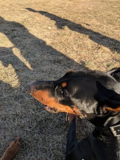 Woodland Hills Park - Colorado Springs, CO