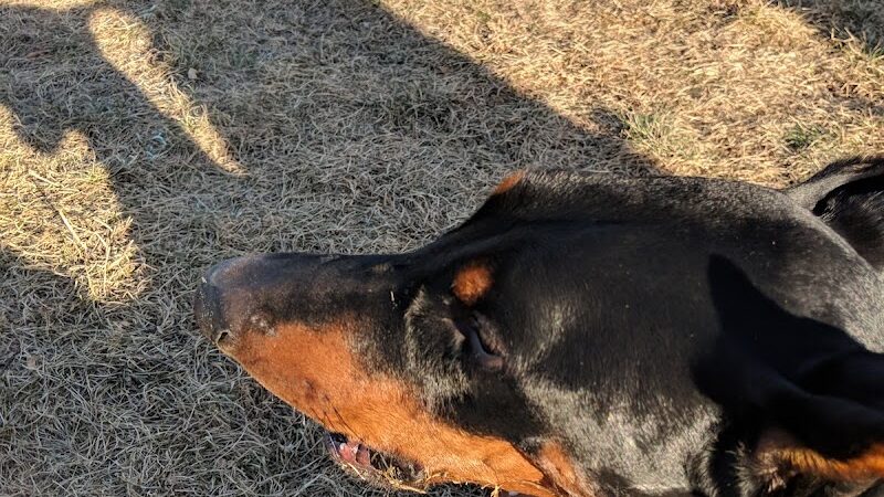 Woodland Hills Park - Colorado Springs, CO