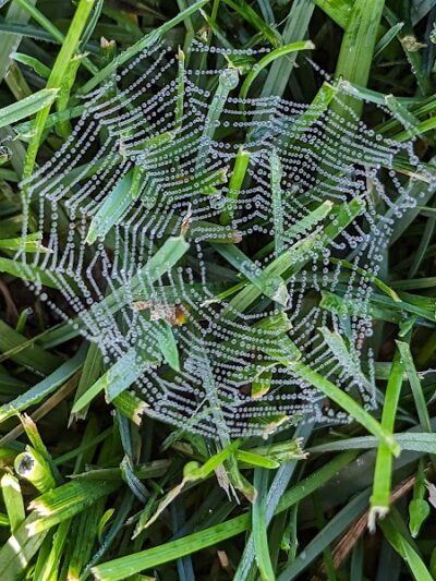 Woodland Hills Park - Colorado Springs, CO