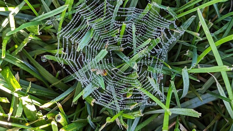 Woodland Hills Park - Colorado Springs, CO