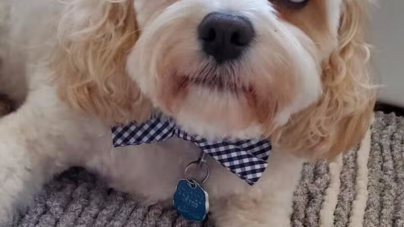 Bark Barn - Columbia, CT