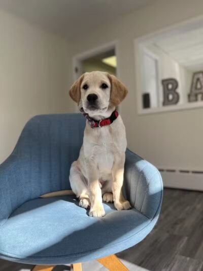 Bark Barn - Columbia, CT