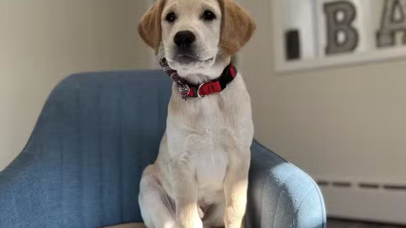 Bark Barn - Columbia, CT