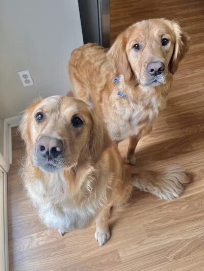 Bark Barn - Columbia, CT