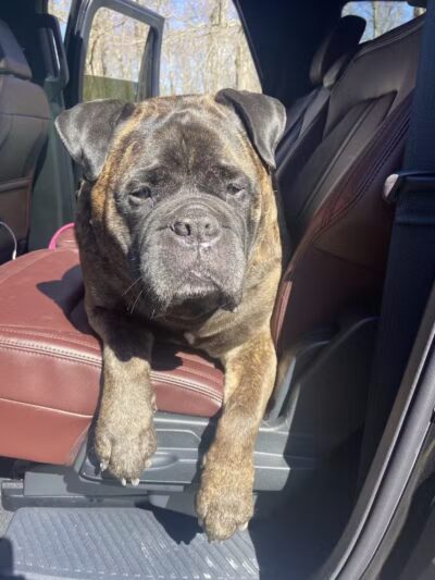 Bark Barn - Columbia, CT