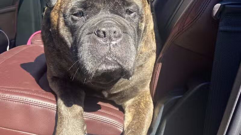 Bark Barn - Columbia, CT