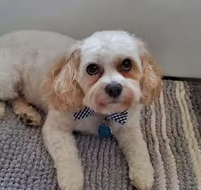 Bark Barn - Columbia, CT