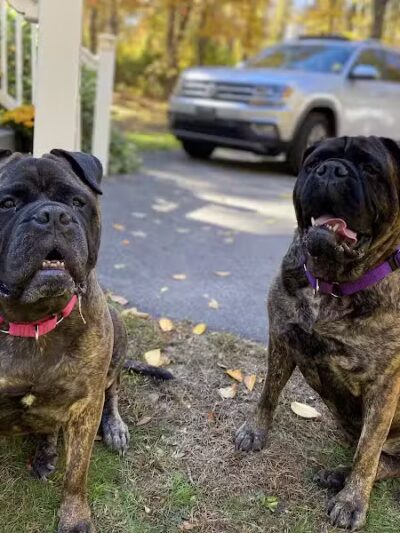 Bark Barn - Columbia, CT