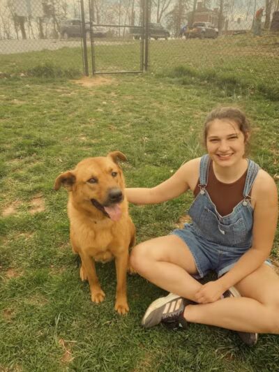 Columbia KY Dog Park - Columbia, KY