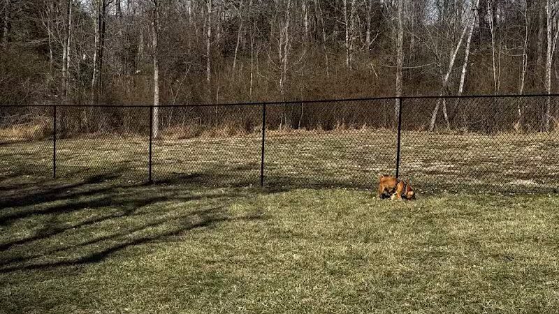 Columbia KY Dog Park - Columbia, KY