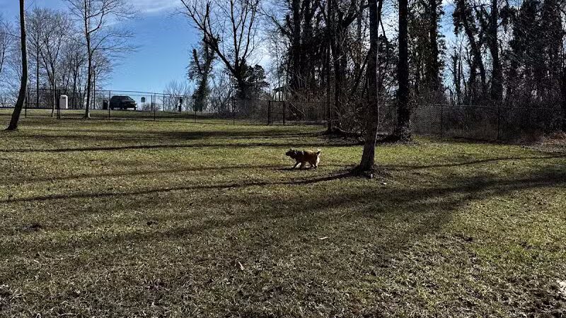 Columbia KY Dog Park - Columbia, KY