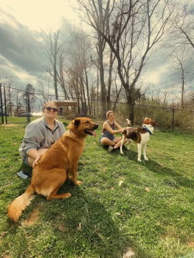 Columbia KY Dog Park - Columbia, KY