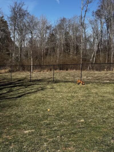 Columbia KY Dog Park - Columbia, KY