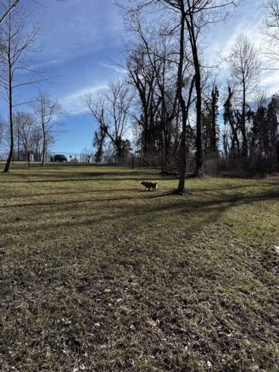 Columbia KY Dog Park - Columbia, KY