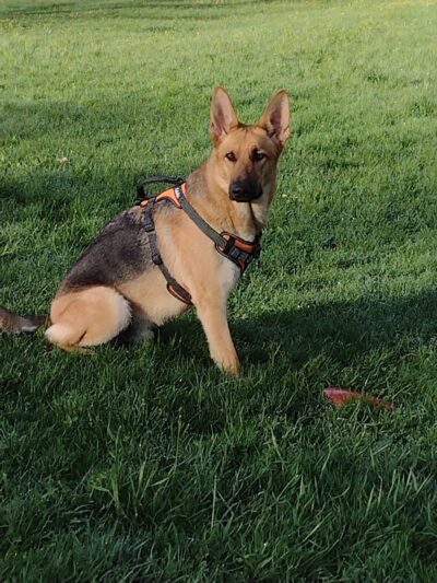River Run Dog Park - Columbus, WI
