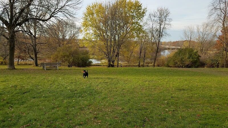 River Run Dog Park - Columbus, WI