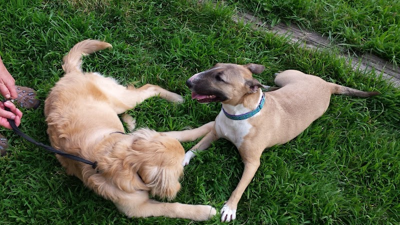 River Run Dog Park - Columbus, WI