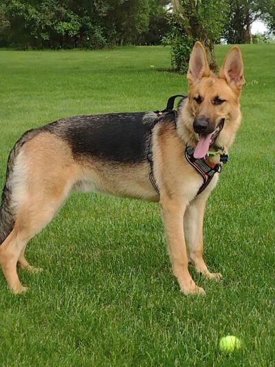 River Run Dog Park - Columbus, WI