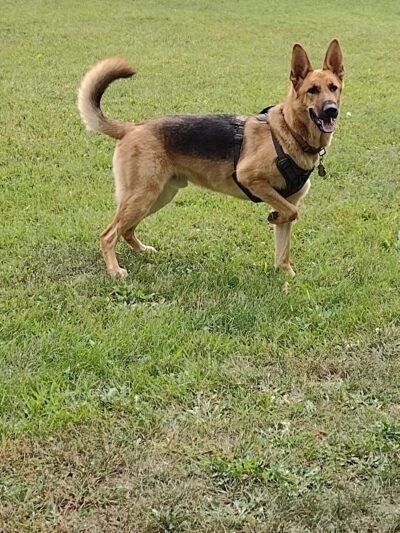 River Run Dog Park - Columbus, WI