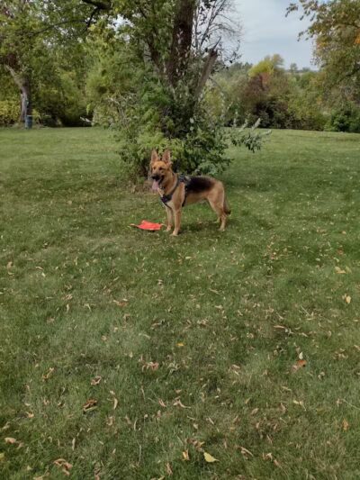 River Run Dog Park - Columbus, WI