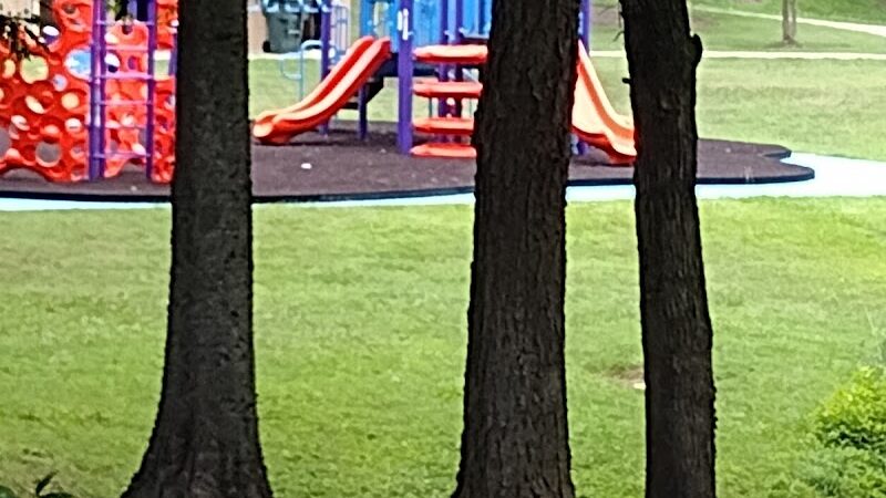 Hartsell Park