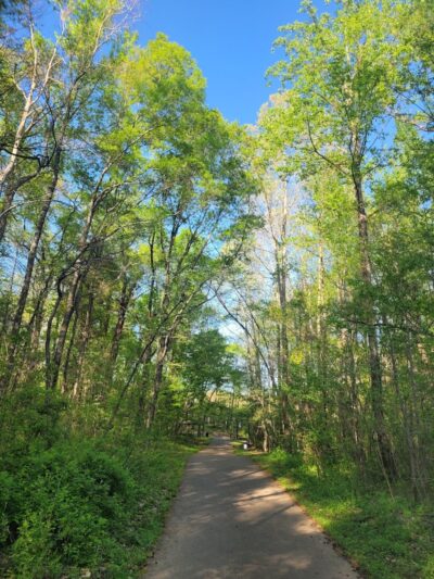 Weddington Road Bark Park