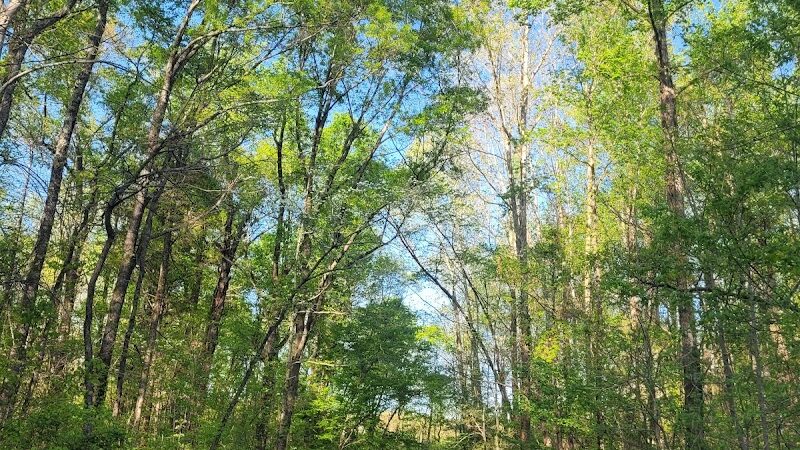 Weddington Road Bark Park