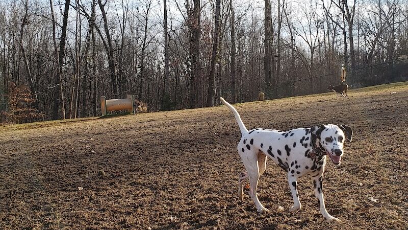 Weddington Road Bark Park