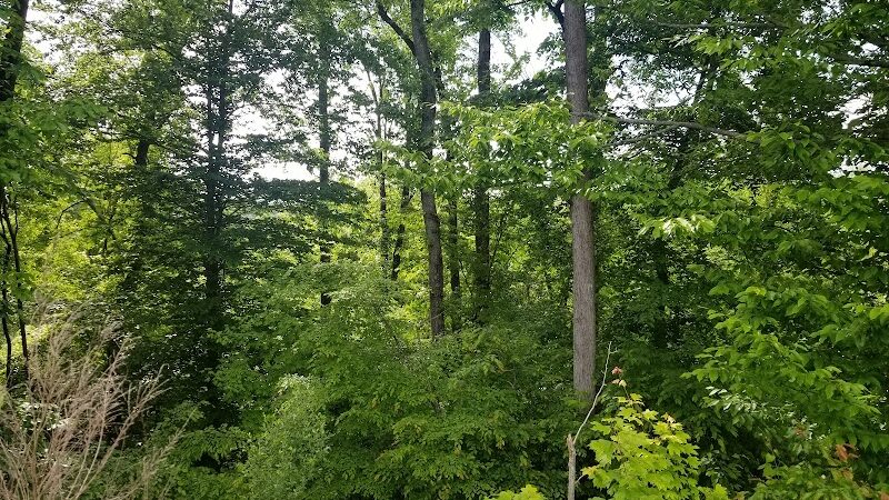 Weddington Road Bark Park