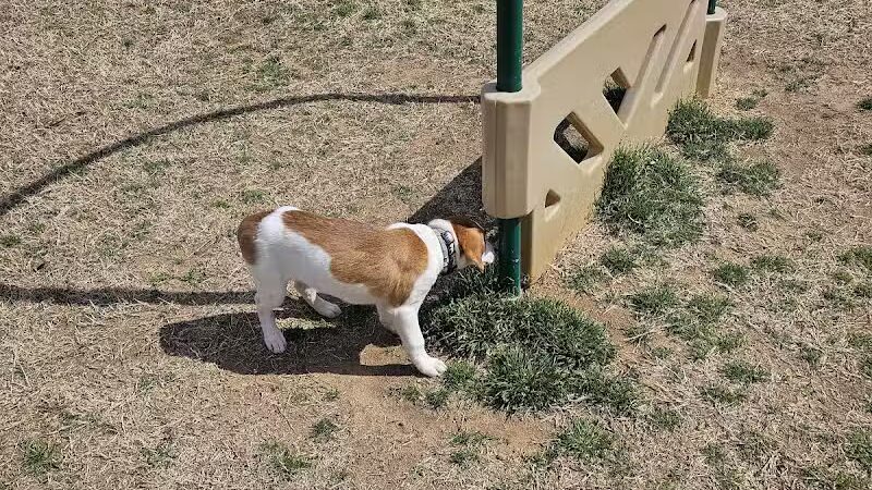 Weddington Road Bark Park