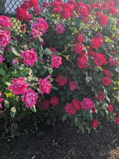 Clarkstown’s K-9 Corrals - Congers, NY