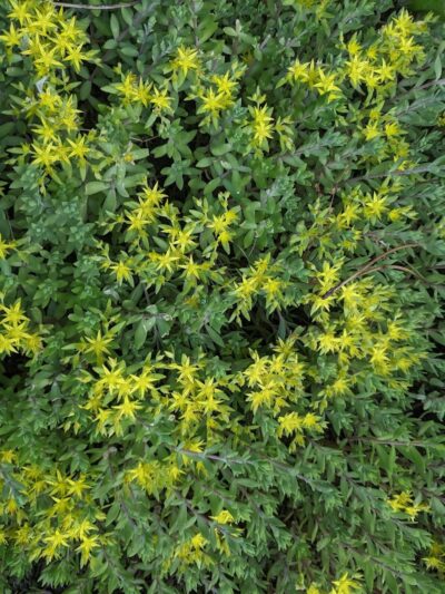 Clarkstown’s K-9 Corrals - Congers, NY