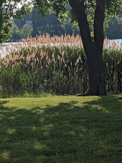 Clarkstown’s K-9 Corrals - Congers, NY