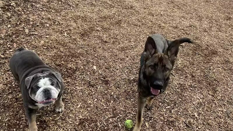 Clarkstown’s K-9 Corrals - Congers, NY