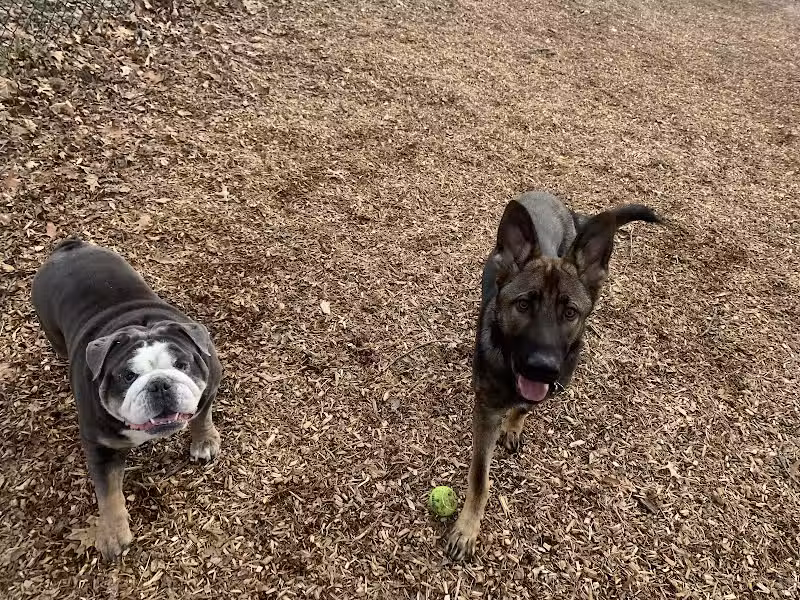 Clarkstown’s K-9 Corrals - Congers, NY