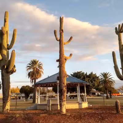 San Carlos Park - Coolidge, AZ