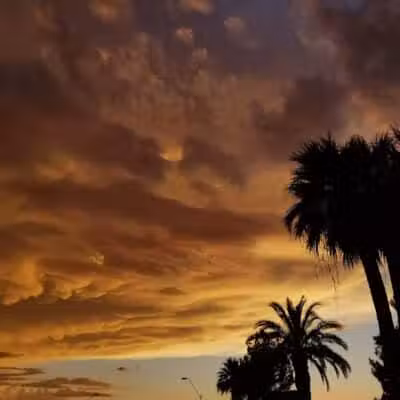 San Carlos Park - Coolidge, AZ