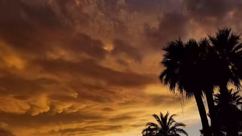 San Carlos Park - Coolidge, AZ