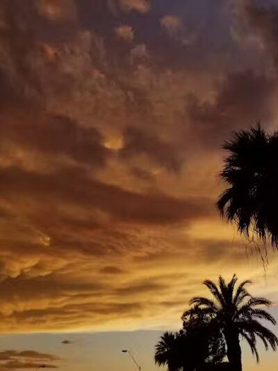 San Carlos Park - Coolidge, AZ