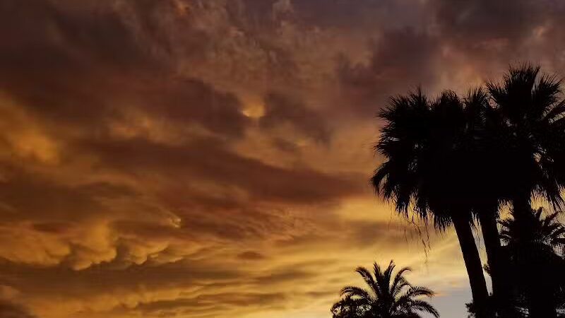 San Carlos Park - Coolidge, AZ