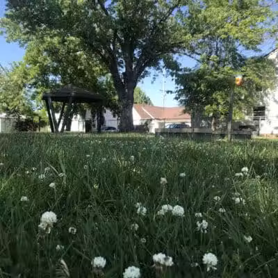 Paws for Friends Park - Corbin, KY