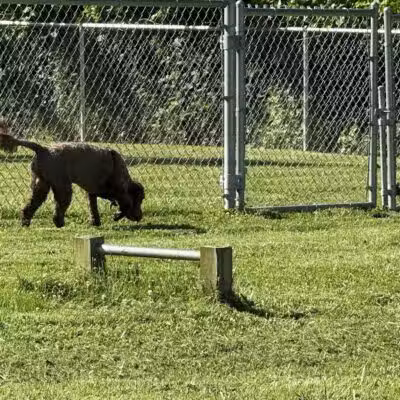Rotary Dog Park - Corbin, KY
