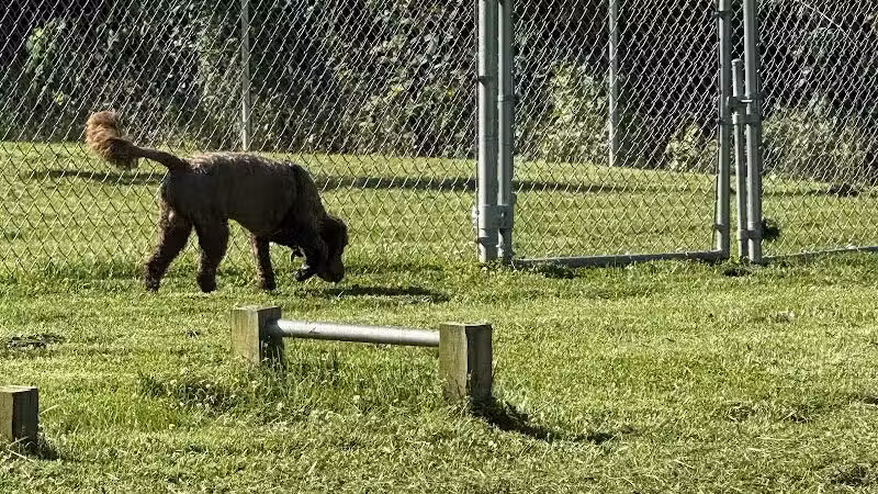 Rotary Dog Park - Corbin, KY