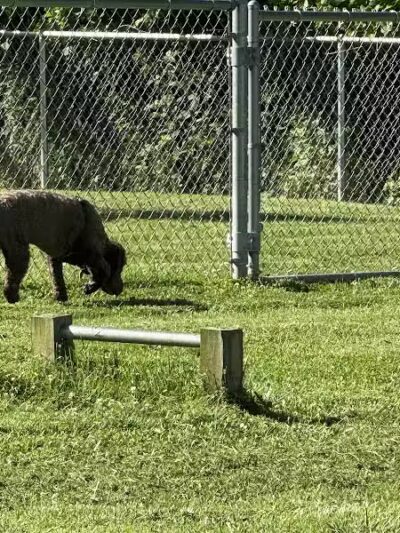 Rotary Dog Park - Corbin, KY