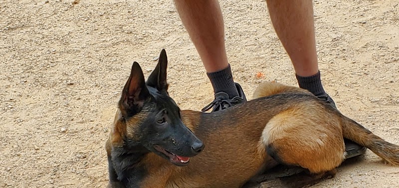 Swaney Pointe K-9 Park - Cornelius, NC