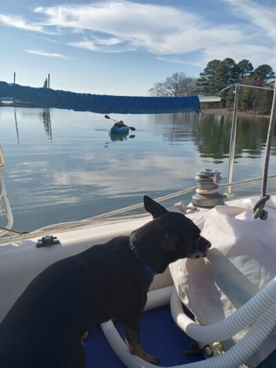 Swaney Pointe K-9 Park - Cornelius, NC